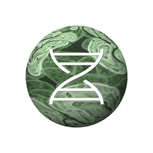 Posters-planetes_Sante_2